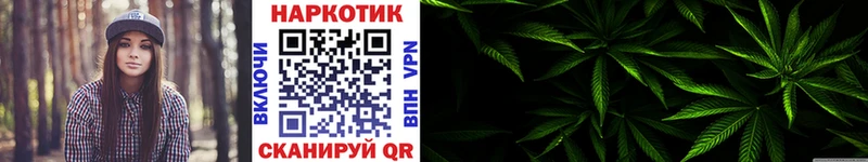 Продажа наркотиков Сясьстрой Бошки Шишки  Альфа ПВП  Гашиш  Меф  Cocaine 
