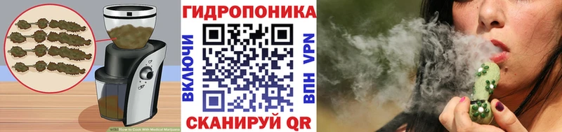 Canna-Cookies конопля Сясьстрой