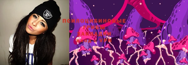 PSILOCYBIN Армянск