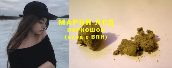 PSILOCYBIN Армянск