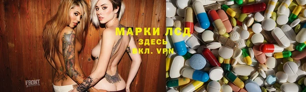 PSILOCYBIN Армянск